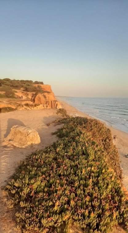 Alfamar V3 Falésia Beach Villa Albufeira Kültér fotó